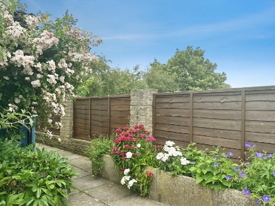 Picture 22